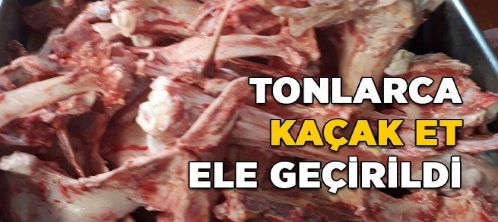 İstanbul’da Sahte Et Operasyonu: Tonlarca Kaçak Et Ele Geçirildi