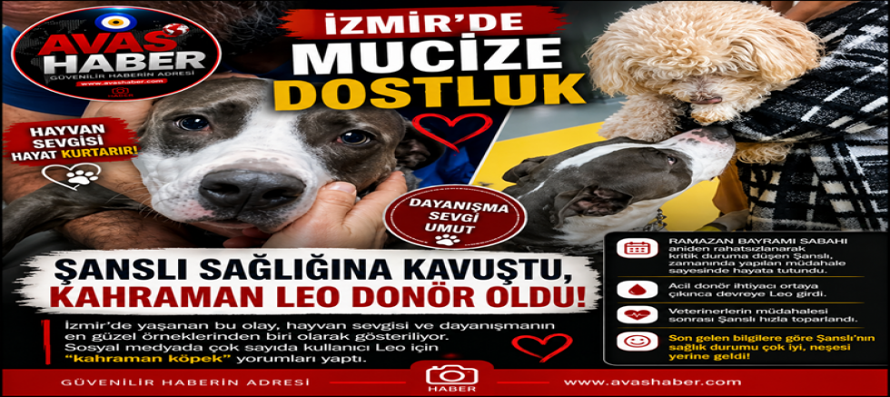 İZMİR’DE KANLI DOSTLUK