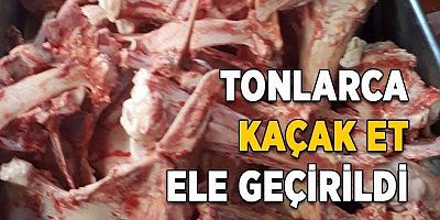 İstanbul’da Sahte Et Operasyonu: Tonlarca Kaçak Et Ele Geçirildi