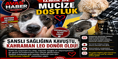İZMİR’DE KANLI DOSTLUK